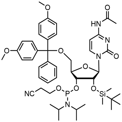 DMT-2′O-TBDMS-rC(ac) फॉस्फोरामिडाइट