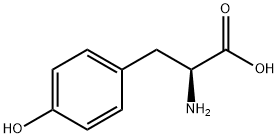 एल Tyrosine